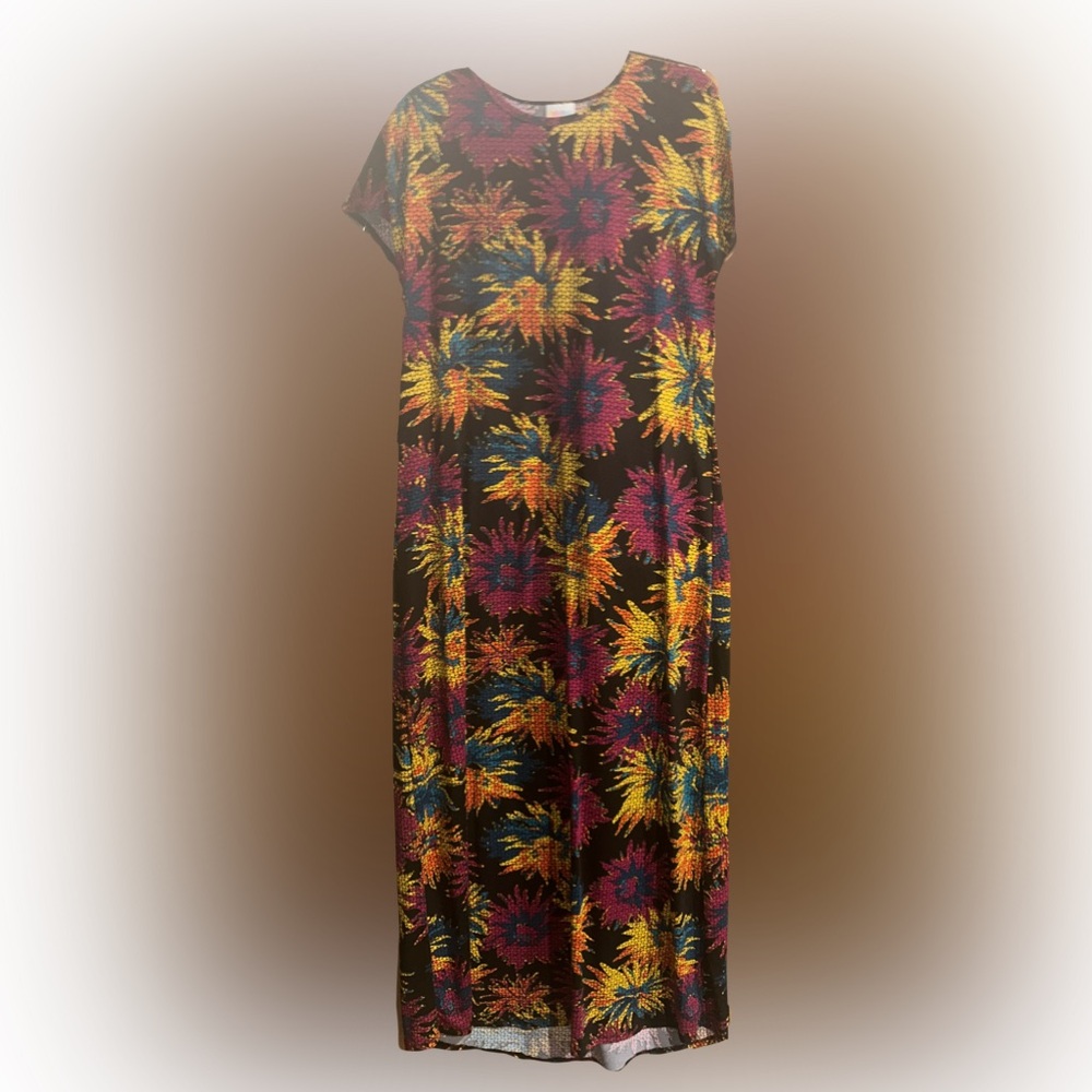 LuLaRoe Multicolor Abstract Floral Dani Dress-XL